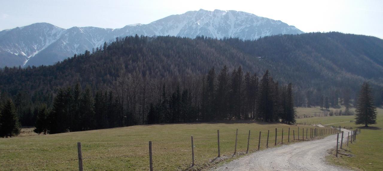 Ferienwohnungen Mamauwiese Gutenstein Екстер'єр фото