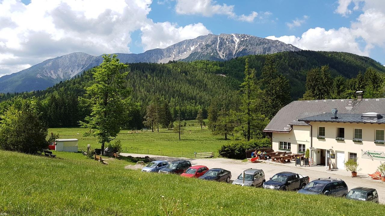 Ferienwohnungen Mamauwiese Gutenstein Екстер'єр фото