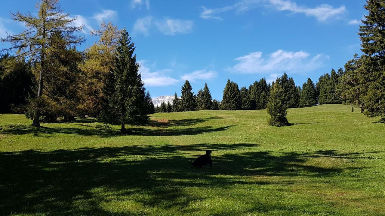 Ferienwohnungen Mamauwiese Gutenstein Екстер'єр фото