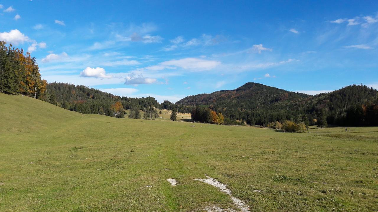 Ferienwohnungen Mamauwiese Gutenstein Екстер'єр фото
