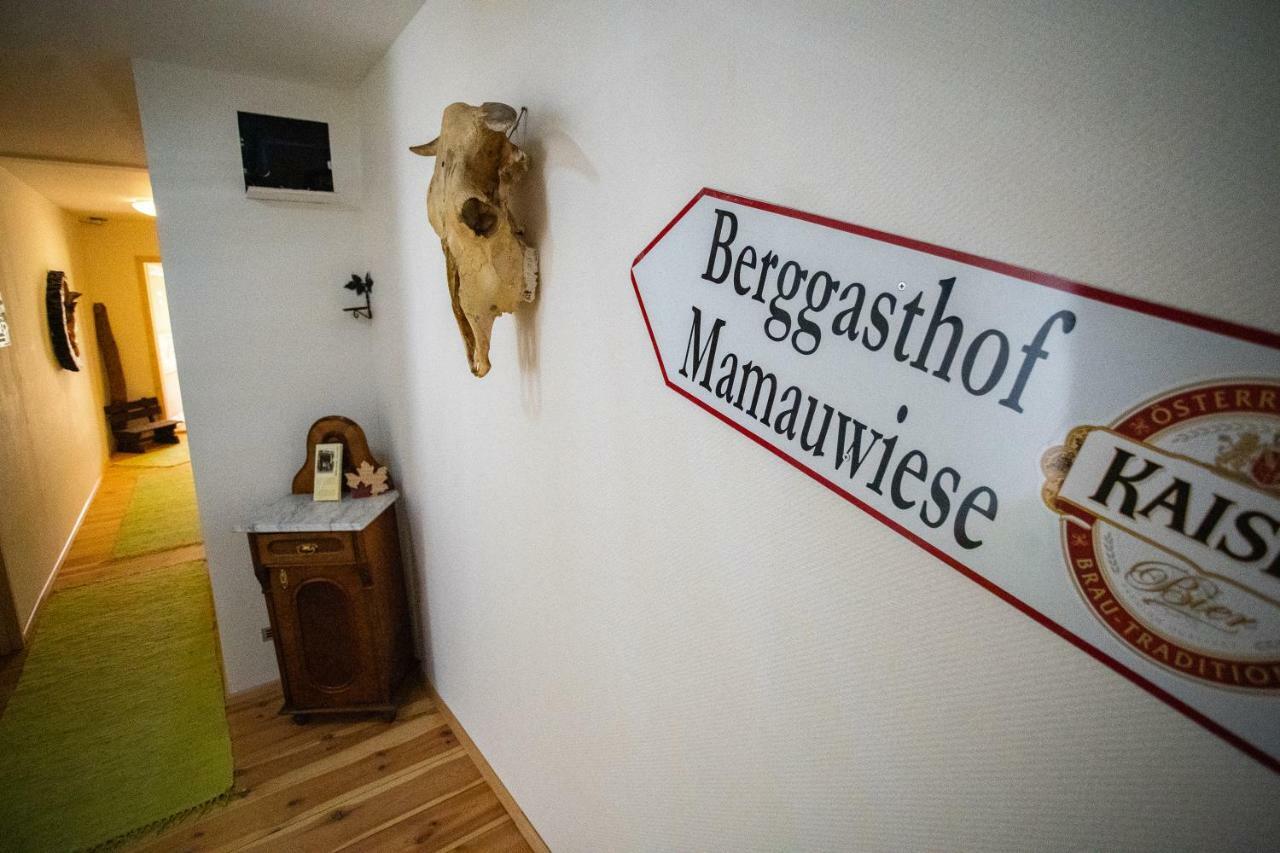 Ferienwohnungen Mamauwiese Gutenstein Екстер'єр фото