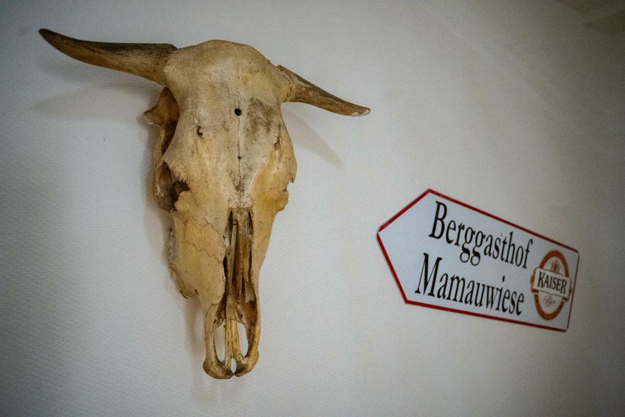 Ferienwohnungen Mamauwiese Gutenstein Екстер'єр фото